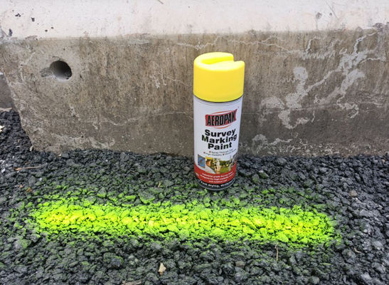 500ml Inverted Ecofriendly Survey Marking Paint with 3 Years Shelf Life